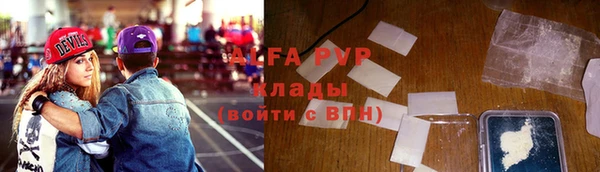 стафф Алзамай