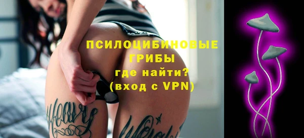 молекула духа Алексеевка