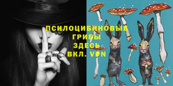 молекула духа Алексеевка