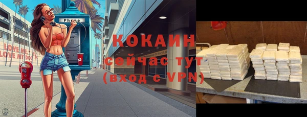 спайс Алексин