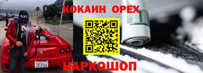 дмт Кингисепп