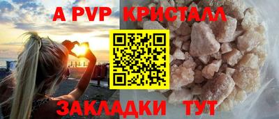 дмт Кингисепп