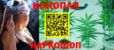 дмт Кингисепп