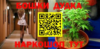 дмт Кингисепп
