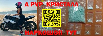 дмт Кингисепп