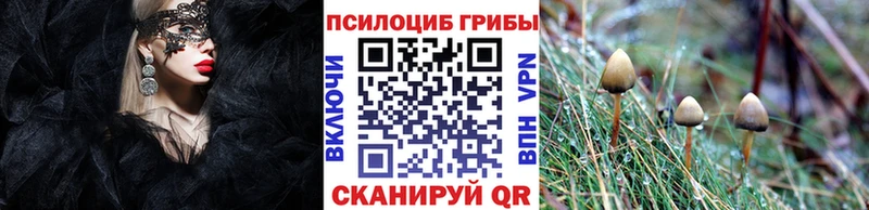 МЕГА как зайти  где можно купить наркотик  Рубцовск  Галлюциногенные грибы Psilocybe 