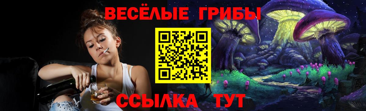 Галлюциногенные грибы Magic Shrooms  Вход с VPN  Рубцовск 
